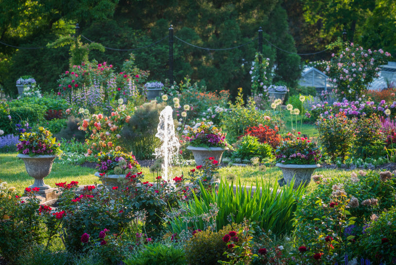 Morris Arboretum, United States